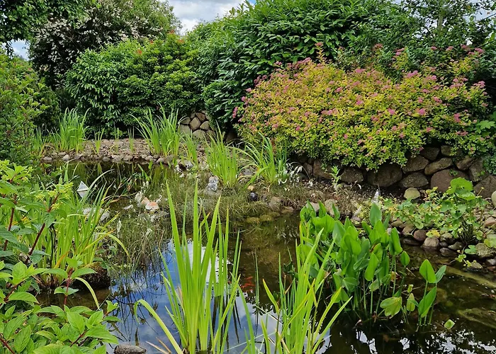 Appartement Stolle Suderstapel